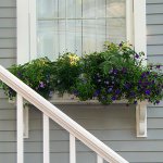 window-boxes-04..jpg