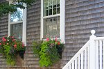 window-boxes-09..jpg