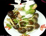 oc-nhoi-hap-sa..jpg