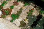 crackgarden-07..jpg