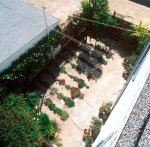 crackgarden-06..jpg