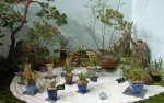japanese-garden-0.jpg